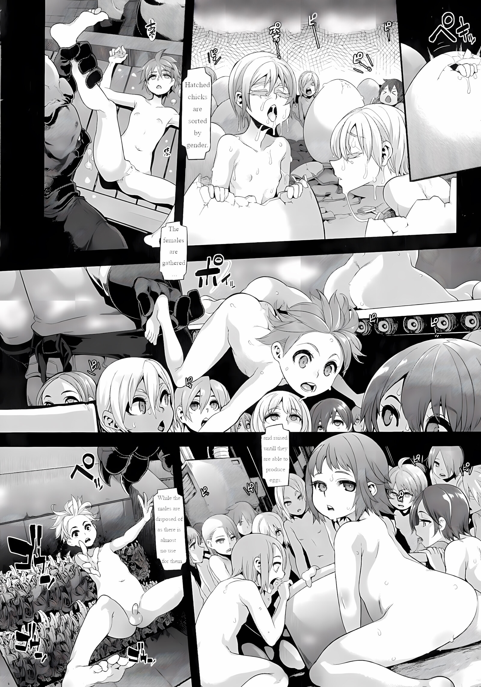 Niwatori No Wakusei No Poultry Farm [Shindol], Niwatori No Wakusei No Poultry Farm, page 12 of 17